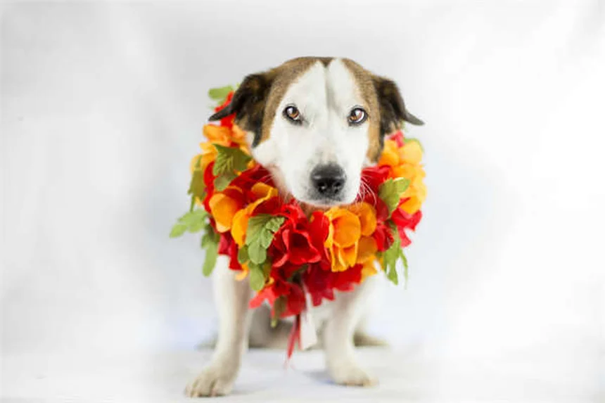 Ram's 10-Year Warranty: What You Need to Know About 2026 Models